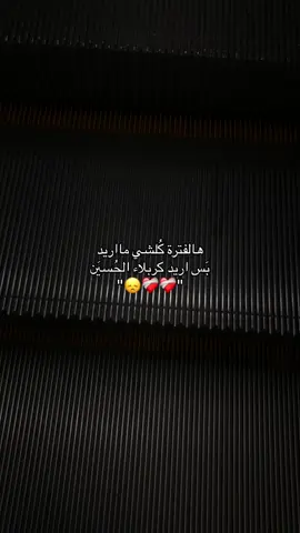 #ياحسين #اللهم_صل_على_محمد_وآل_محمد #باسم_الكربلائي #كربلاء #fpy 
