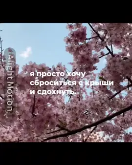 #щтп #щп #щитпост #рекомендации 