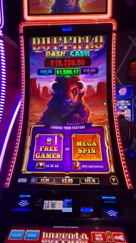 BUFFALO DASH FOR CASH MEGA SPIN! #fypシ゚viral #gambling #fyp #casino