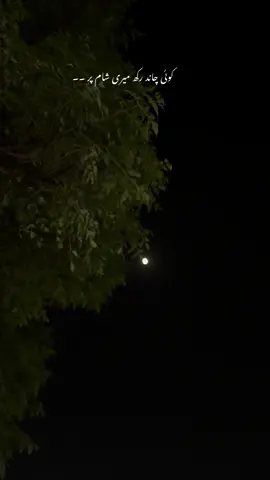 کوئی چاند رکھ میری شام پر ۔۔ #foryoupage #foryou #fvrt #lines #nightvibes #foryoupageofficiall #nightvibes🎶🎵 #fypシ゚viral #fypage #foryoupage❤️❤️ #fypシ #fyp #fyppppppppppppppppppppppp 
