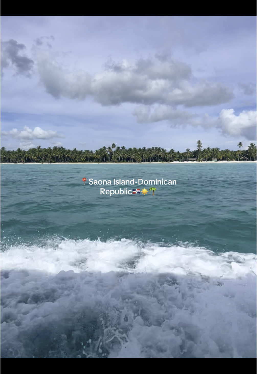 Bucket List Goals✅🌴🥥 #fyp #holiday #puntacana #saonaisland 