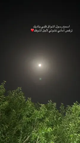 #سيد الغنادير❤️#الفنان محمد عبده #اكسبلور❤️ #fyp❤️ 