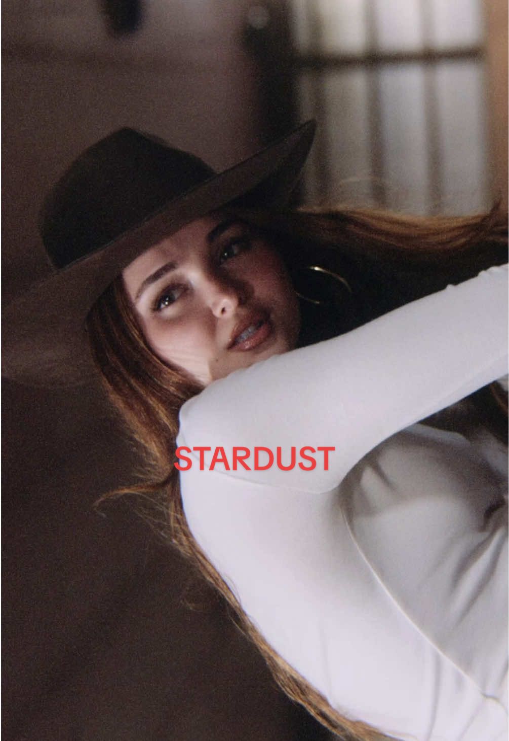 STARDUST🐴🌟 pre-save in bio 