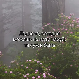 #глобальныерекомендации #futazz_music #отмечай #природа #любовь 