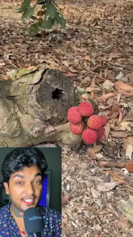 #mustwatch #wowreaction #reactiontime #reactions #trending #foryoupage #foryou #viralvideo #duetvideo #crazyreaction #funnyreaction #viralreaction #tiktokreaction #reactionvideo #Grow #growmyaccount #viralmyvideo #Grow #unfreezemyacount #Viral 
