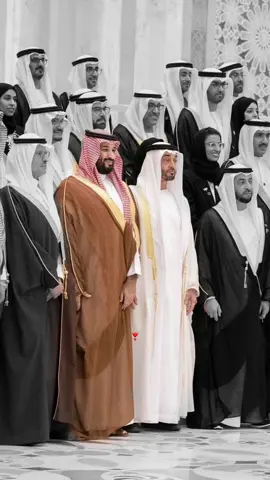 #MBS #MBZ #المملكه_العربيه_السعوديه🇸🇦 #الامارات_العربية_المتحده🇦🇪 #السعودية🇸🇦 #الامارات🇦🇪 #foryoupage #foryou #fyp #faaaaaaaaaaaaaaaaaaaayppppppppppppp 