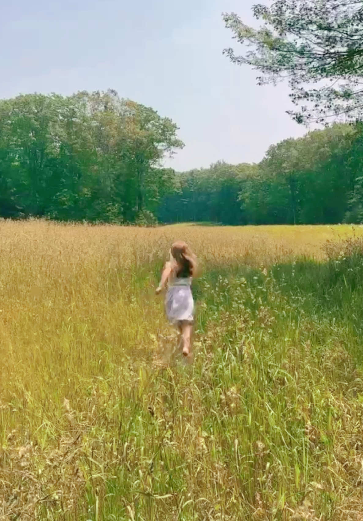 ✨💖🕊️🌸🦋🌿 little sister #free #girl #run #frolicking #grass #field #nature #wild #littlesister #girlhood #freshair 