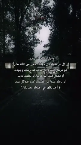 #شمس_التبريزي 