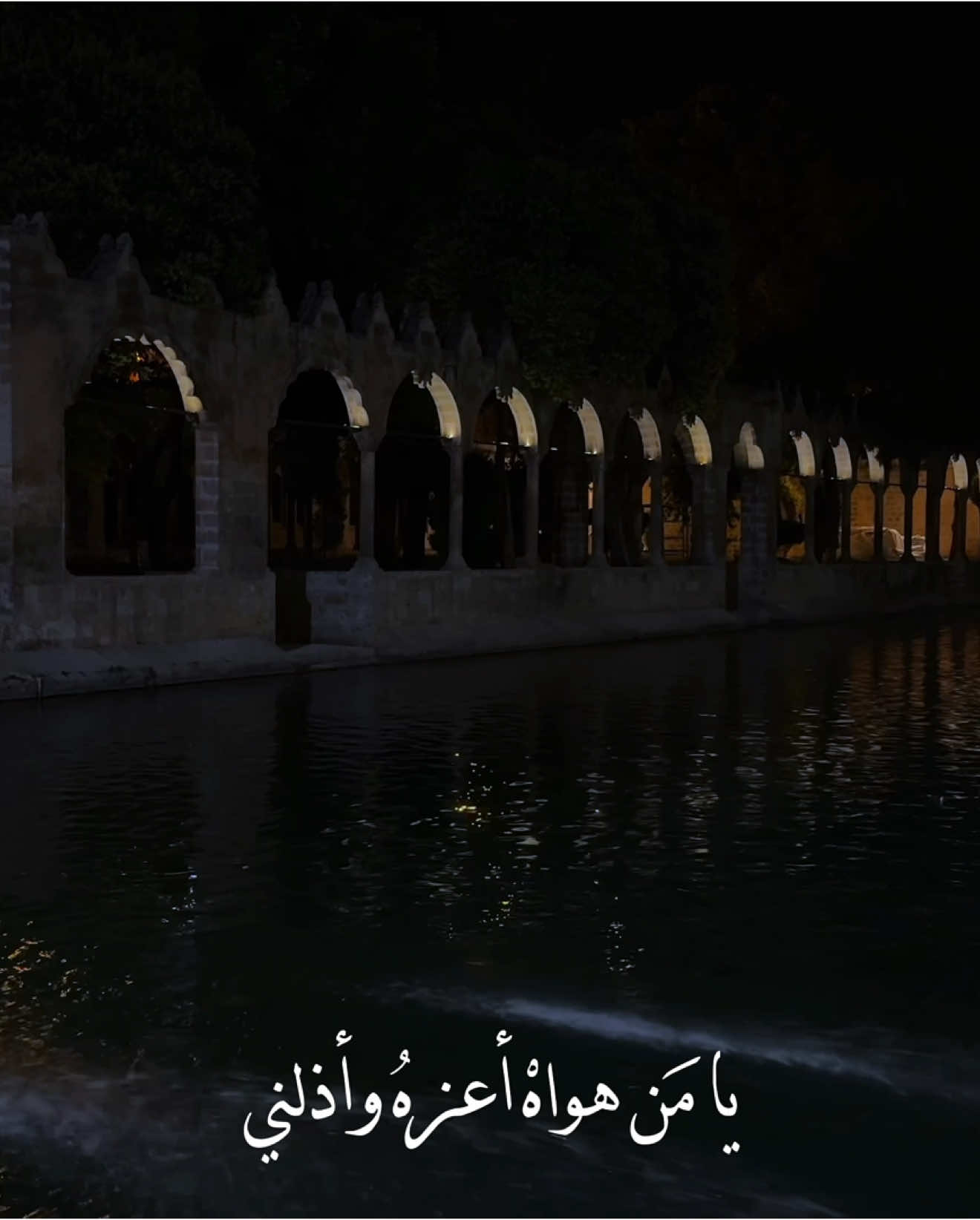 كيفَ السّبيلُ إلى وِصالِكَ دْلِّنِي !!🫩.  .  .#عبدالرحمن_محمد #اغاني #موسيقى #music #foryou #fyp #song #songslowed #