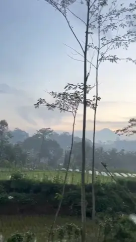 wong tulus kalah terus owner@putrakencana17  #tren #trend #jjtrend #komentatorbola #templatecapcut #CapCut #semarang24jam #semarangstory #drivermudapunyacerita #bismillah #bismillahfyp #driversantuyy😎 