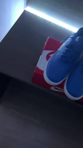 Tênis Nike Court vision Low Azul! Esse é o 01 da cena 💙. Sob encomenda. #nike  #tenis  #courtvision  #fyyyyyyyyyyyyyyyy 