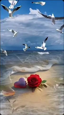 #،🥰🤗♥️🌹 
