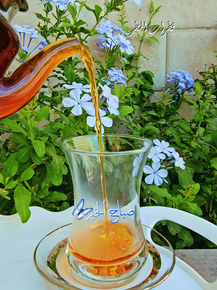 صباحكم معطر بذكر الله 💙 #صباحكم_معطر_بذكر_الله #صباح_الخير #صباحكم_أحلى_صباح #صباح_الورد #صباحكم #صباحيات #اجواء_الصباح #صباحيات_رايقه #دعاء_الصباح #شاي_الصباح #روقان #صباح_الروقان #اكسبلور #اكسبلوووور #فوريو #اكسبلوررررررررر #لايك_فولو #فوريو #اكسبلورررررررررررررررررررر #لايك #حركة_الترند #ترند_تيك_توك #ترند #السعودية #مصر_العراق_الاردن_سوريا_الخليج #السعوديه_الرياض_جده_الشرقيه_ابها_مكه #الرياض_جده_مكه_الدمام_المدينه #السعودية_الكويت_مصر_العراق_لبنان #ترندات_تيك_توك #لايك #explore #explorer #explorepage #fyp #فوريو_foryou #tiktokarab #saudiarabia #foryou #اكسبلورexplore #لايكexplore #like #saudiarabia #goodmorning 