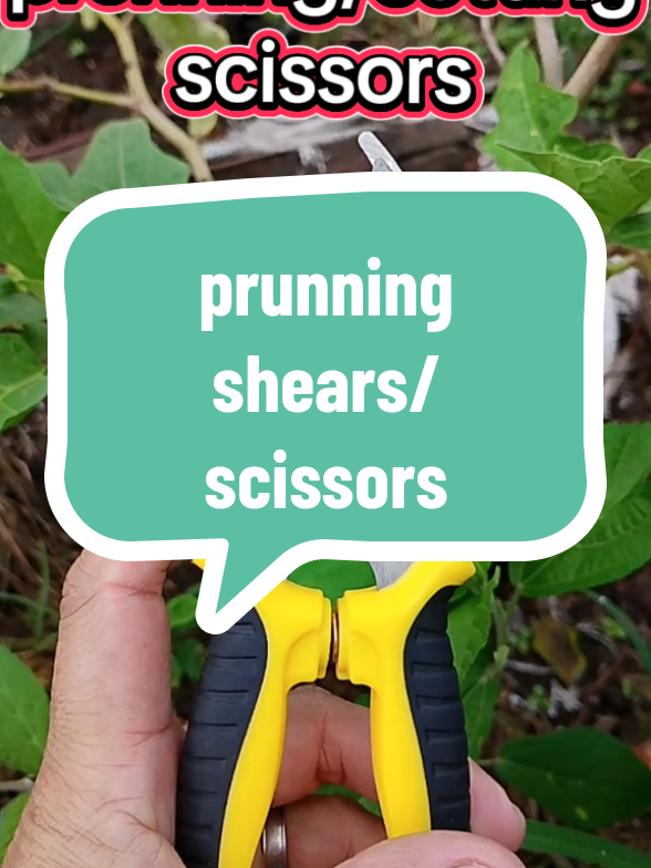 Gardening tools #prunning ning #cutting  #harvesting #gardening #garden 