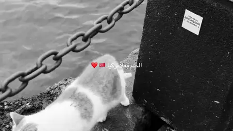 الحلم ❤️🇹🇷 #الحلم #🇹🇷 #تركيا #اسطنبول #سفر #turkey #istanbul #edit 