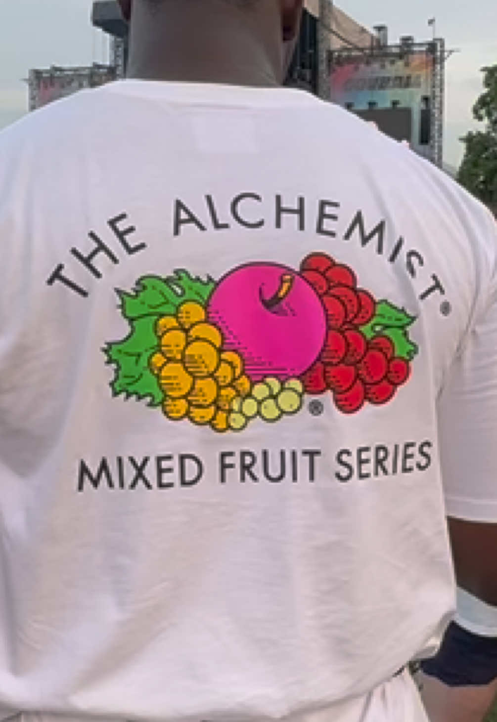 Happy pride from the mixed fruit series #lgbtq #govball #lesbian #gay #bi #trans #queer #questioning #Pride @Sarah✨🦋🍒 #@Bigbeefy 