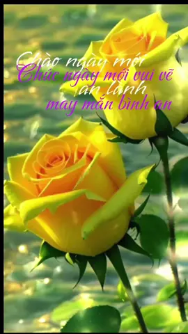 Mỗi ngày được ban cho chúng ta như một mùa xuân mới                                 Những suy nghĩ,hành động, mơ ước ,và nỗ lực của hôm nay sẽ mang lại mua gặt ngày mai                   Chúc tất cả mọi người ngày mới vui vẻ,bình an….tràn đầy năng lượng..