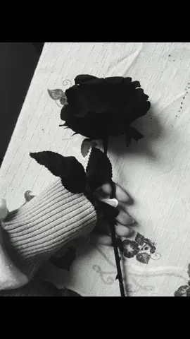 #foruyou #fabricantedelagrimas #rosa #rosapreta🖤 #darkromance #romance #filme 