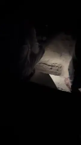 #السعودية_الكويت_مصر_العراق_لبنان #شعبي #الغراوي😎🇮🇶 ⚰️لا تكبر هاي تاليتك 