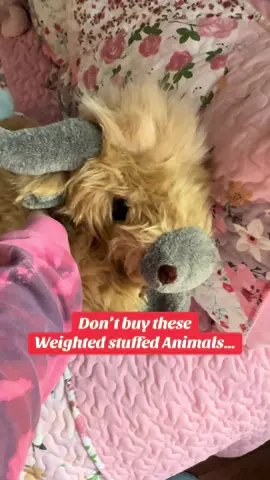 Make sure you know the proper weighted animal to get!  #TiktokShopUnboxing #tiktokshopcreatorpicks #tiktokshopcreatorfinds #dealsforyoudays #weighted #pressuretherapy #weightedstuffedanimal #weightedblanket #sensory #autism #adhd #anxiety 