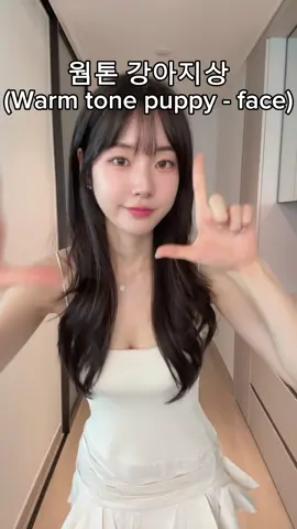 강아지상 vs 고양이상