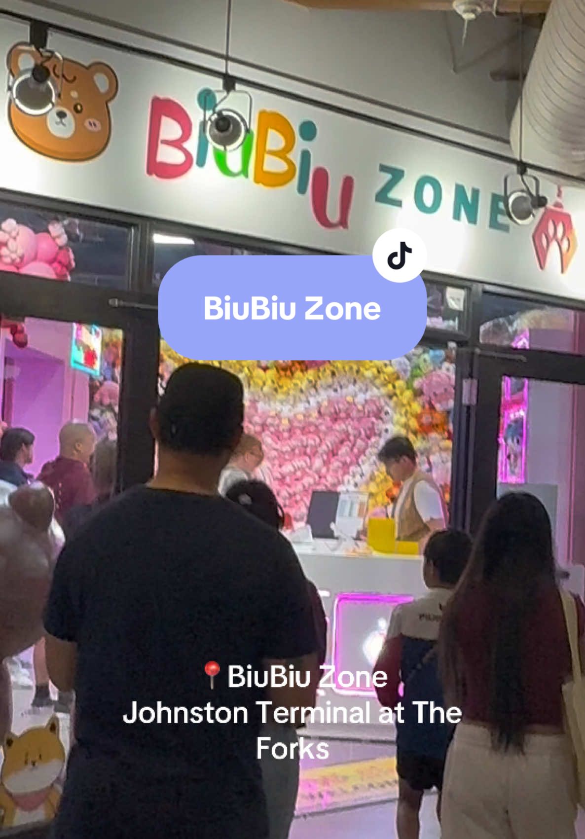 You need a lot of skills, tricks and luck to play here 🫣🤣 Nevertheless, me and my daughter had fun! We will be back for sure ☺️😁 #biubiuzone #clawmachine #arcade #fun #playtime #plushies #winnipeg #johnstonterminal #theforks #winnipegsfirst