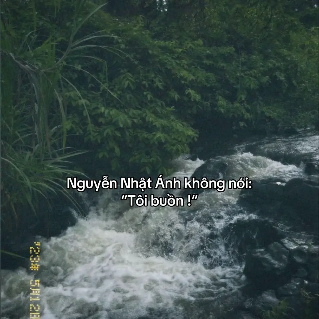 🎵