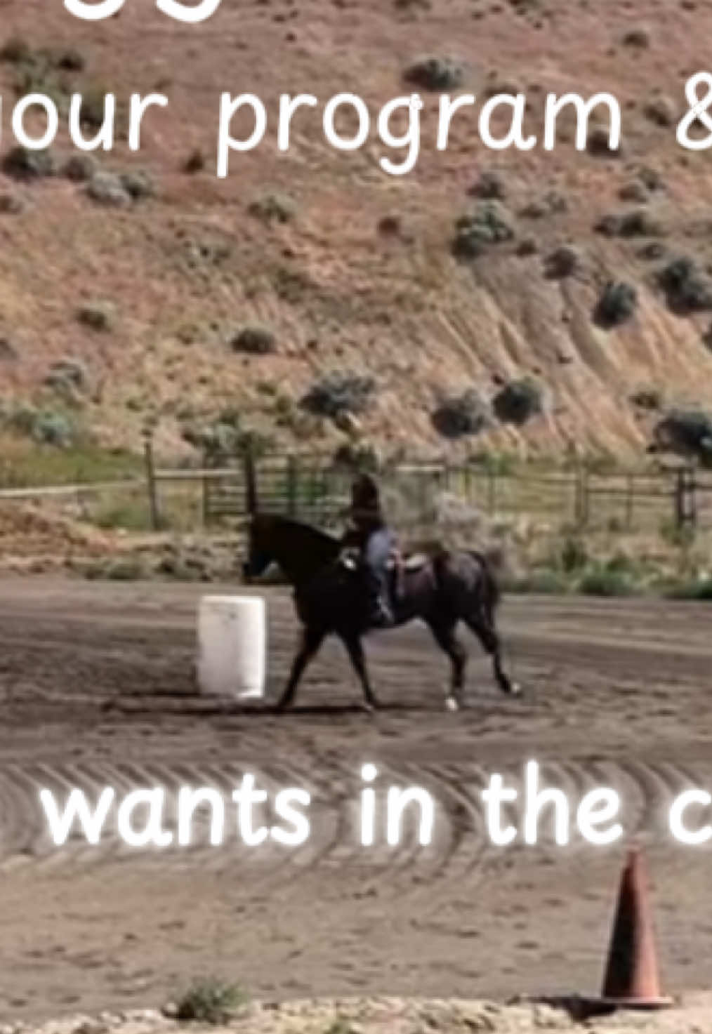 It’s summertime! Let’s get those goals & wants out there! #horse #trainer #performance #Fitness #nutrition #jbarsperformancehorses #equiboss #steelhorseformulations #naturesrein 