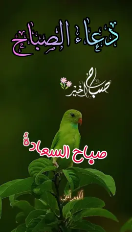 دعاء الصباح اللهم إني أسألك الثبات في الأمر  وأسألك العزيمة على الرشد وأسألك شكر نعمتك وحسن عبادتك  وأسألك قلبا سليما ولسانا صادقا وأسألك من خير ما تعلم وأعوذ بك من شر ما تعلم وأستغفرك لما تعلم، إنك أنت علام الغيوب #صباحكم_أحلى_صباح #صباحكم_معطر_بذكر_الله #صباح_الورد #صباح_الخير #صبحكم_الله_بالايمان_وطاعة_الرحمن 