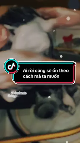Đừng lo tất cả chúng ta rồi sẽ ổn. Vì Thanh Xuân không phải để khóc, mà để lấp lánh hoa hồng…. #DTdongyduongsinh #daotaohocvien #goidauduongsinh #trilieudongy 