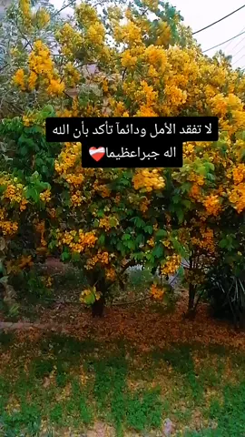 #سيد_فاقد_الموسوي  #لقطه_فائقه_الثبات💔🥀🖤  #تصميم_فيديوهات🎶🎤🎬  #محضوره_من_الاكسبلور_والمشاهدات  #مالي_خلق_احط_هاشتاقات🧢  #قصائد_حسينية 