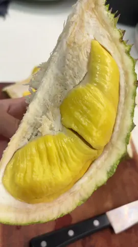 Khui trái sầu riêng musaking #saurieng #saurienglongkhanh #nhiemtu #sendalongkhanh 