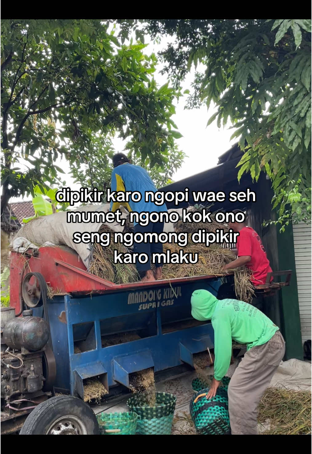 #foryoupage #jowostory #fyp #4u #bismillahfyp #fypシ゚ #xzyabc #viral 