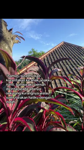 everything u are–HINDIA #tiktokindonesia #hindia #feast #baskaralangitsaid #fyp #tiktok #foryoupage 