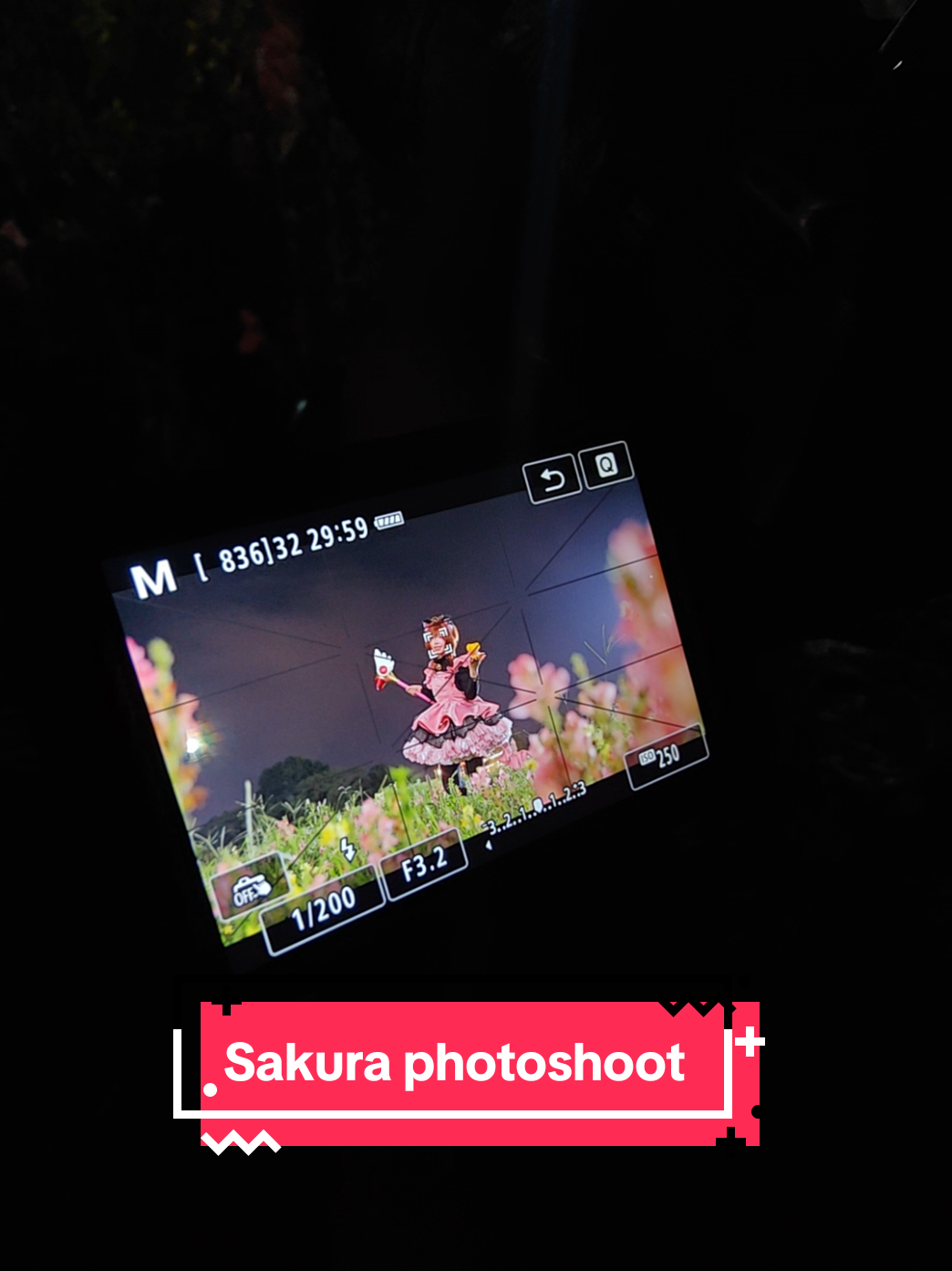 Sakura cosplay Photoshoot #photography #anime #cosplayphotography #cosplay 