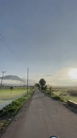 #foryoupage #desangali #bima 