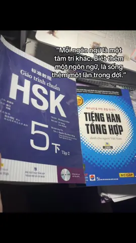 mốt học thêm tiếng Ấn Độ nữa là đẹp. #tiengtrung #tienghan #dengruanmingming #dngmm2011hoctiengtrung #xh 