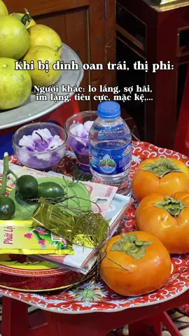 Con nhà Thánh thì thẳng dạ mà đứng, thẳng lưng mà làm 🙏🏻 #tamphucongdong #tuphuvanlinh #maudongcuong #xh 