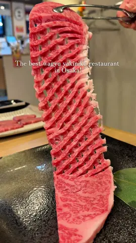 OSAKA【Kiichi Yakiniku 】– @nikuya.ki_ichi  📍20‑5 Joshojicho, Kadoma‑shi, Osaka 571‑0063 (~3‑min walk from Keihan Owada Station)   🕒 Hours • Yakiniku: 16:00–22:00 (Last order 21:30) Closed on Mondays & 1st/3rd/5th Tuesdays (open on holidays)   🥩 Indulge in premium A5 Wagyu beef, featuring melt-in-your-mouth filet (Chateaubriand) and various rare cuts. Expertly chosen and reasonably priced  🌟 Bright, clean space with 54 seats—including sofas and private rooms—perfect for families, dates, and group hangs  💳 Credit cards accepted; cash and QR/e-money only at butcher shop 🎯 Highlights: 	•	Premium filet steak, sirloin, rare parts 	•	Kimchi, grilled vegetables, a la carte dishes 	•	All-you-can-eat & drink courses, party-friendly!  🎉 Private bookings (20–50+ ppl), ideal for celebrations, parties, company dinners. #japantravel #japanesefood #japanfood #japan #japantrip #japantourism #osakafood #wagyu #osakafoodie #japanfoodtravel
