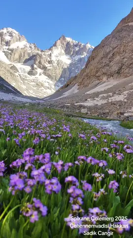 #zozan #spîxane #colemerg #xweza 31.05.2025 #cennetvadisi #cehennemvadisi #hakkari #doğa #keşfet #nature #treking https://youtu.be/dU48AcYTWOU?si=BCi9T9gL9gaOejTZ