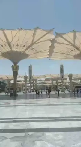 بِسْمِ اللهِ الرَّحْمٰنِ الرَّحِيْمِ Masjid Nabawi, Madinah اَللَّهُمَّ صَلِّ عَلٰى سَيِّدِنَا مُحَمَّدٍ #Allahﷻ #nabimuhammadﷺ #makkahmadinah #umrahhaji #islam #muslim #hajiumrahbarakah #lovesaudiarabia #hajj #umrah