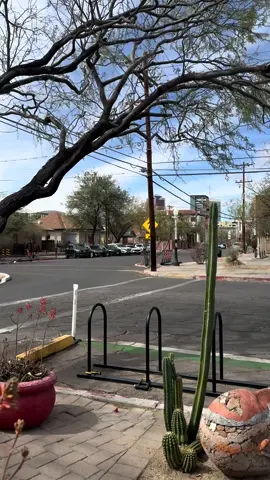 sexualizing my life or whatever #tucson #arizona #az #tucsonarizona 