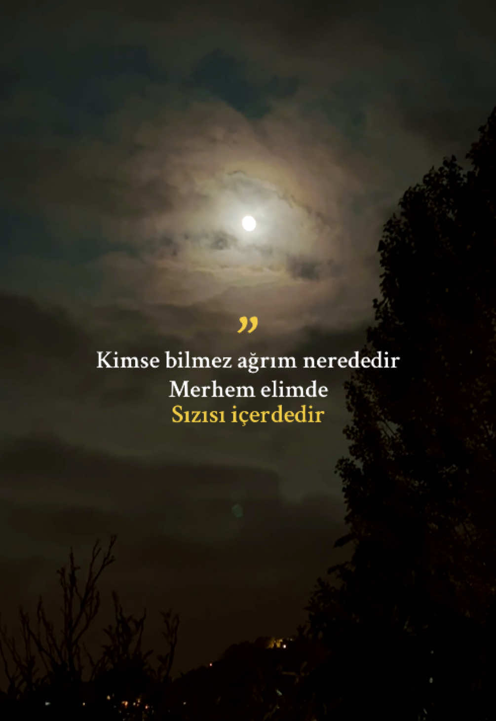 cümle alem tuzumu kuru sanır #melikeşahin #durma #durmayürüsene #dayankalbim #dayanyüreğim #story #storylikvideo #istanbul 