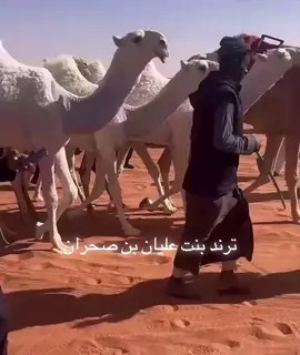 #عليان بن صحران