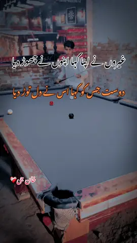 اظہار عشق میں جو تحریر بھیجی 