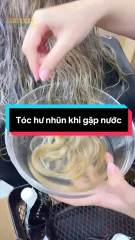 Tóc hư nhũn khi gặp nước #xuhuong #namnung #daugoi #daugoinamnung #daugoithaoduoc 