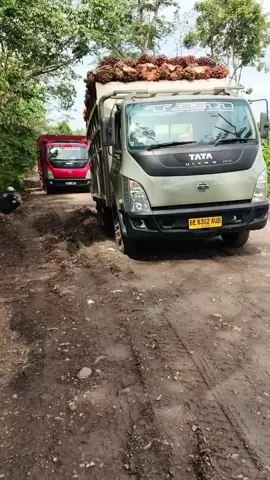 jalan y rata tapi lembut bollo #TJM transpot #TaTa ultra 1012