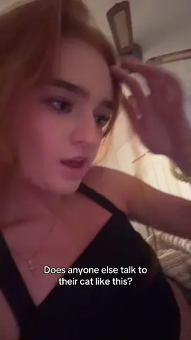 It’s giving bipolar #cat #ginger #hair #pet #catsoftiktok #fyp #trending #relatable #babytalk #foryoupage #cute #pretty 