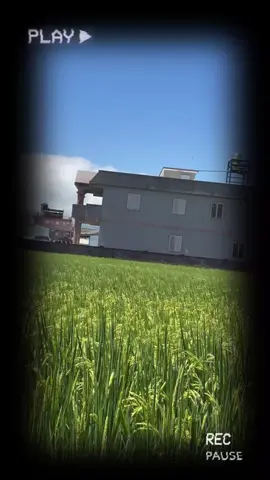 兩極化 一邊烏雲密佈 一邊晴空萬里 但都一樣的熱🥵 #流量動起來 #上班日常 #熱