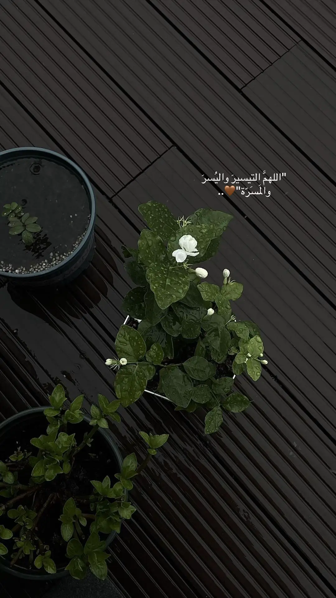 #دعاء #ادعية #اكسبلورررر
